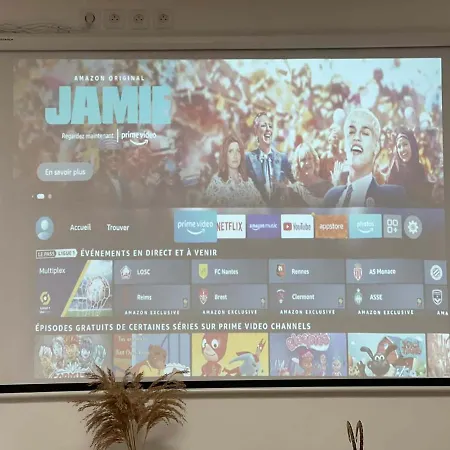 Ng Suitehome T2 Balnéo Wifi Netflix Alsace 1 Roubaix