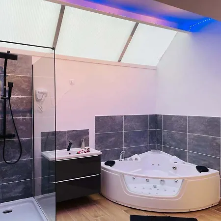 Appartement Ng Suitehome T2 Balnéo Wifi Netflix Alsace 1