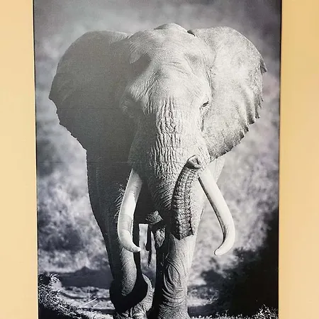 公寓 Ng Suitehome - Lille I I Gare I Metro Alsace - Grand T2 - Balneo - Netflix - Wifi - Cuisine 鲁贝