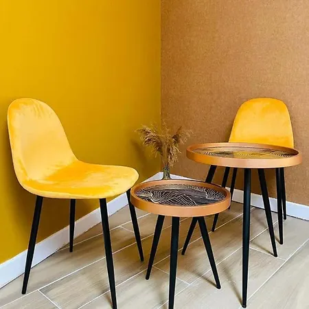 Ng Suitehome - Lille I I Gare I Metro Alsace - Grand T2 - Balneo - Netflix - Wifi - Cuisine 鲁贝