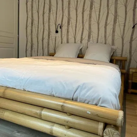 Ng Suitehome - Lille I I Gare I Metro Alsace - Grand T2 - Balneo - Netflix - Wifi - Cuisine 公寓 *