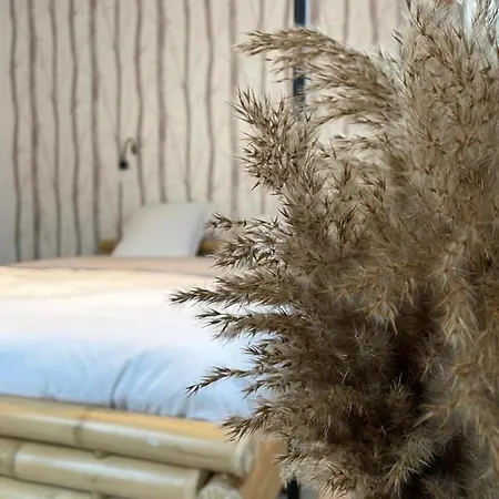 Ng Suitehome - Lille I I Gare I Metro Alsace - Grand T2 - Balneo - Netflix - Wifi - Cuisine 公寓 *