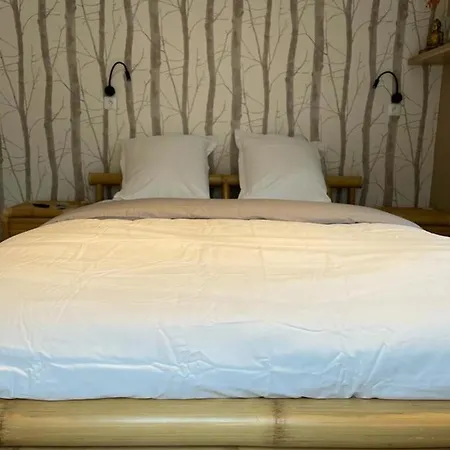 Ng Suitehome - Lille I I Gare I Metro Alsace - Grand T2 - Balneo - Netflix - Wifi - Cuisine 鲁贝