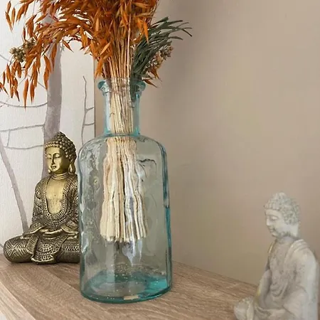 Ng Suitehome - Lille I I Gare I Metro Alsace - Grand T2 - Balneo - Netflix - Wifi - Cuisine