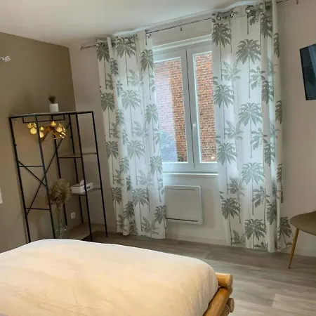 Ng Suitehome - Lille I I Gare I Metro Alsace - Grand T2 - Balneo - Netflix - Wifi - Cuisine Апартаменты Рубе