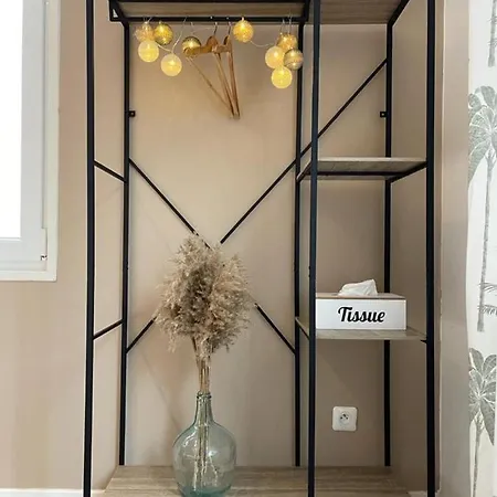 Ng Suitehome - Lille I I Gare I Metro Alsace - Grand T2 - Balneo - Netflix - Wifi - Cuisine 鲁贝