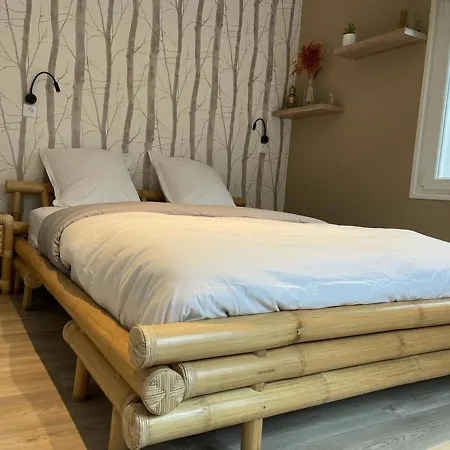 Ng Suitehome - Lille I I Gare I Metro Alsace - Grand T2 - Balneo - Netflix - Wifi - Cuisine * 鲁贝